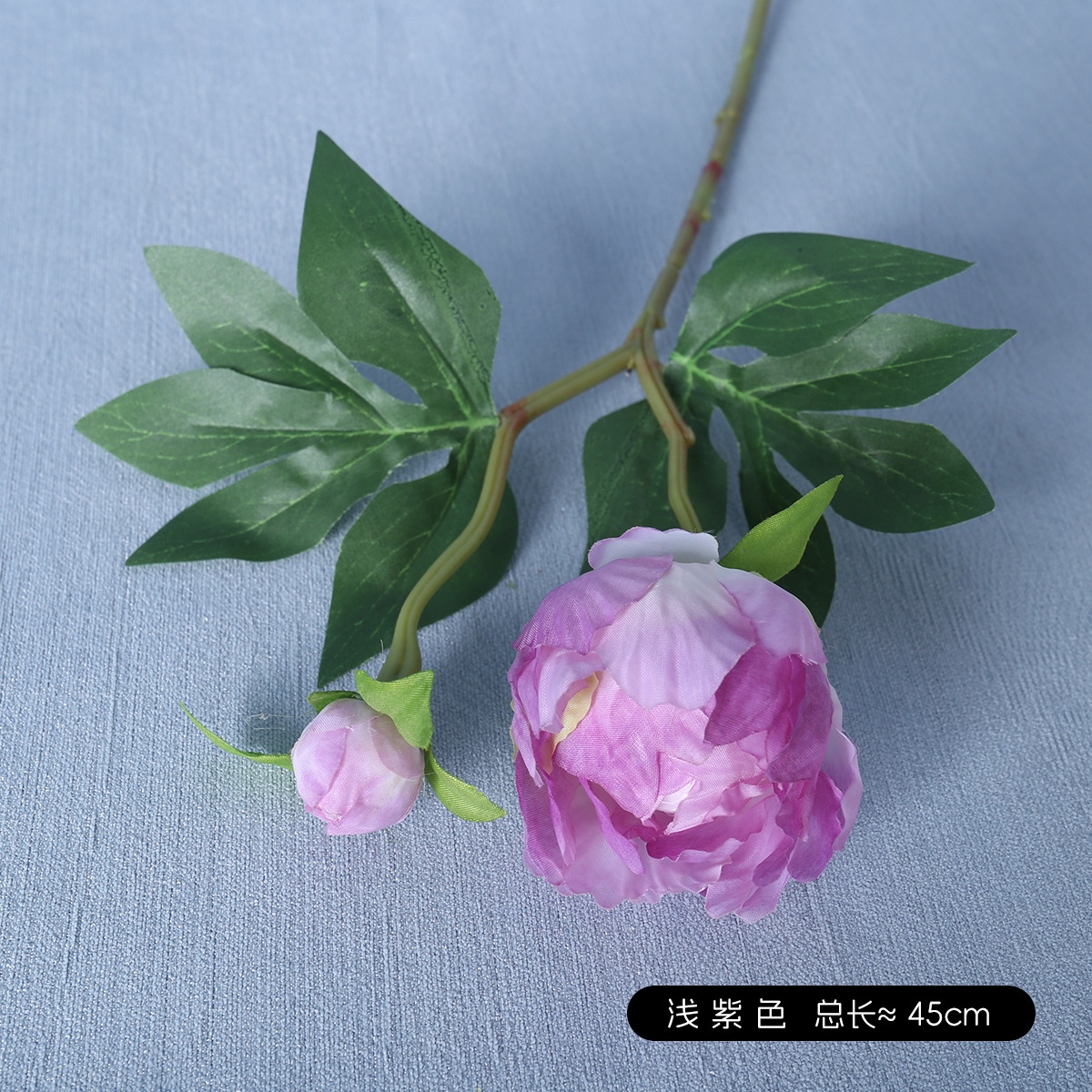 모란 보라색