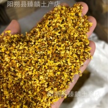 �V���˷�S�Ҵ���������؛�𻨼t���㾫ԭ������ȡ��ɹ𻨹𻨸�