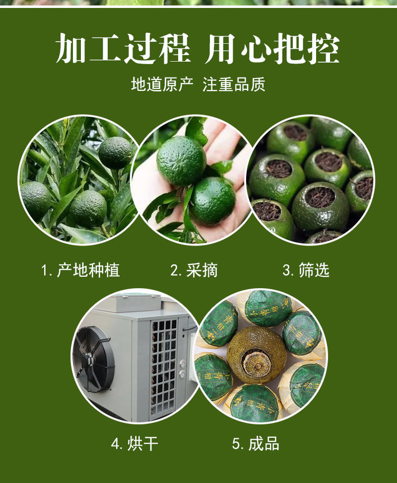 Xinhui Xiao Qing Gan (Citrus reticulata immature peel with Pu-erh) — Stuffed Tangerine Tea, 500g Bulk preparation