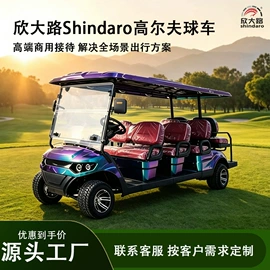 电动观光车;其他电动车;高尔夫球车