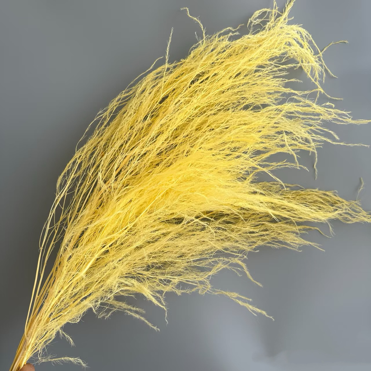 Florista sueña material floral suave decoración de bodas hierba de pelo seco flores eternas multicolores al por mayor