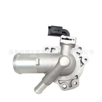 1306010B09 Is Suitable Thermostat