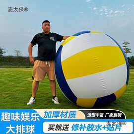 草坪排球草地沙滩大幼儿园儿童巨型球亲子互动玩具充气大麦太保