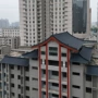 定制铝镁锰连体古建仿古瓦