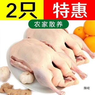 �חl��5�����r������ҹ����Ͱחl���o���K������ֻ����ɢ2.5��