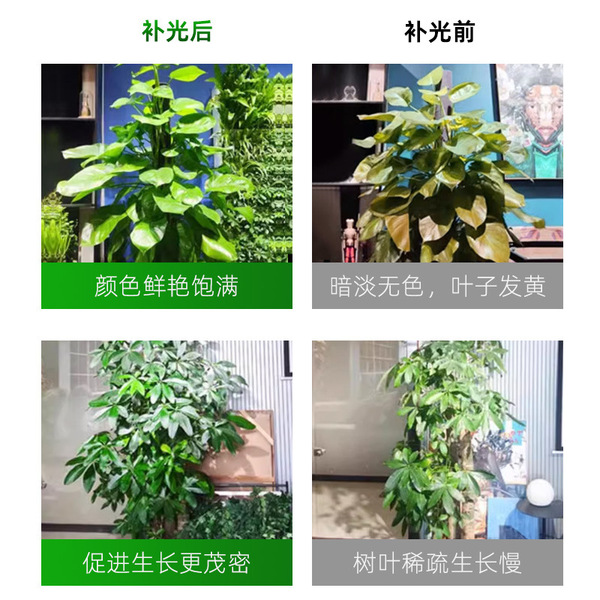 Built-in plant lamp