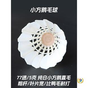 ?�S�����l��ِӖ������ë���҃ȑ����Zë���ʹ����W��12ֻ�b����