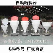 猪料槽自动料槽干料槽干湿料槽保育育肥猪料槽猪用饲料桶下料斗