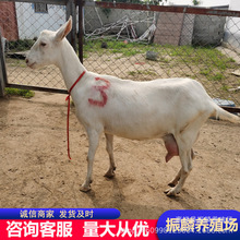 �_����ɽ��a��5--10���� �_����ɽ���Ј� ��ɽ���Bֳ��