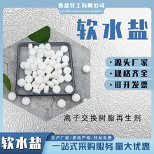 工业级软水盐水质不结垢离子交换树脂再 生剂 饮水机用盐