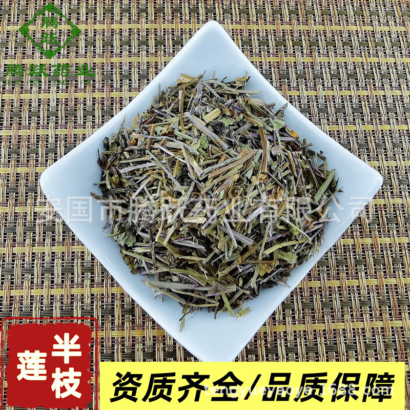 Dried Scutellaria barbata Whole Herb Ban Zhi Lian Bulk Chinese Medicinal Herb for Decoction and Tea overview