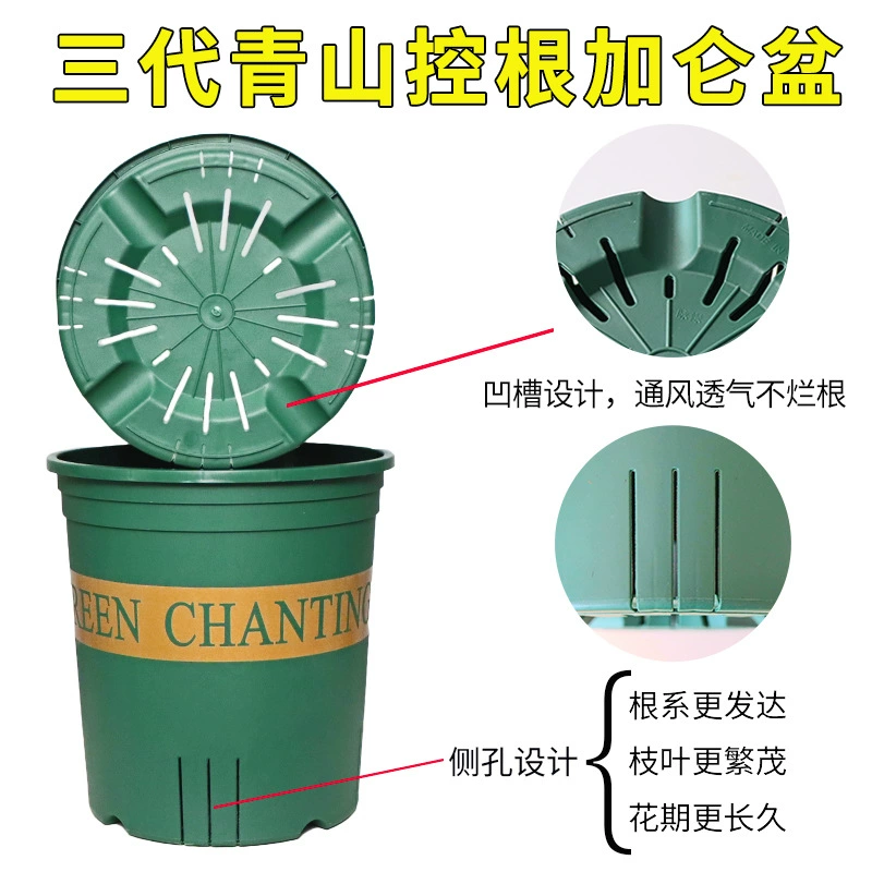 Три поколения Циншань корень бассейна управления галлон бассейна пластиковые зеленый редис бассейна Роза сочных горшок большого диаметра Садоводство Цветочный горшок оптом