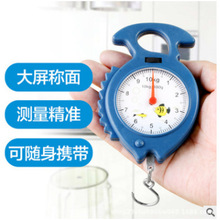 弹簧秤手提秤小称家用便携式挂钩买菜称高精度迷你行李秤