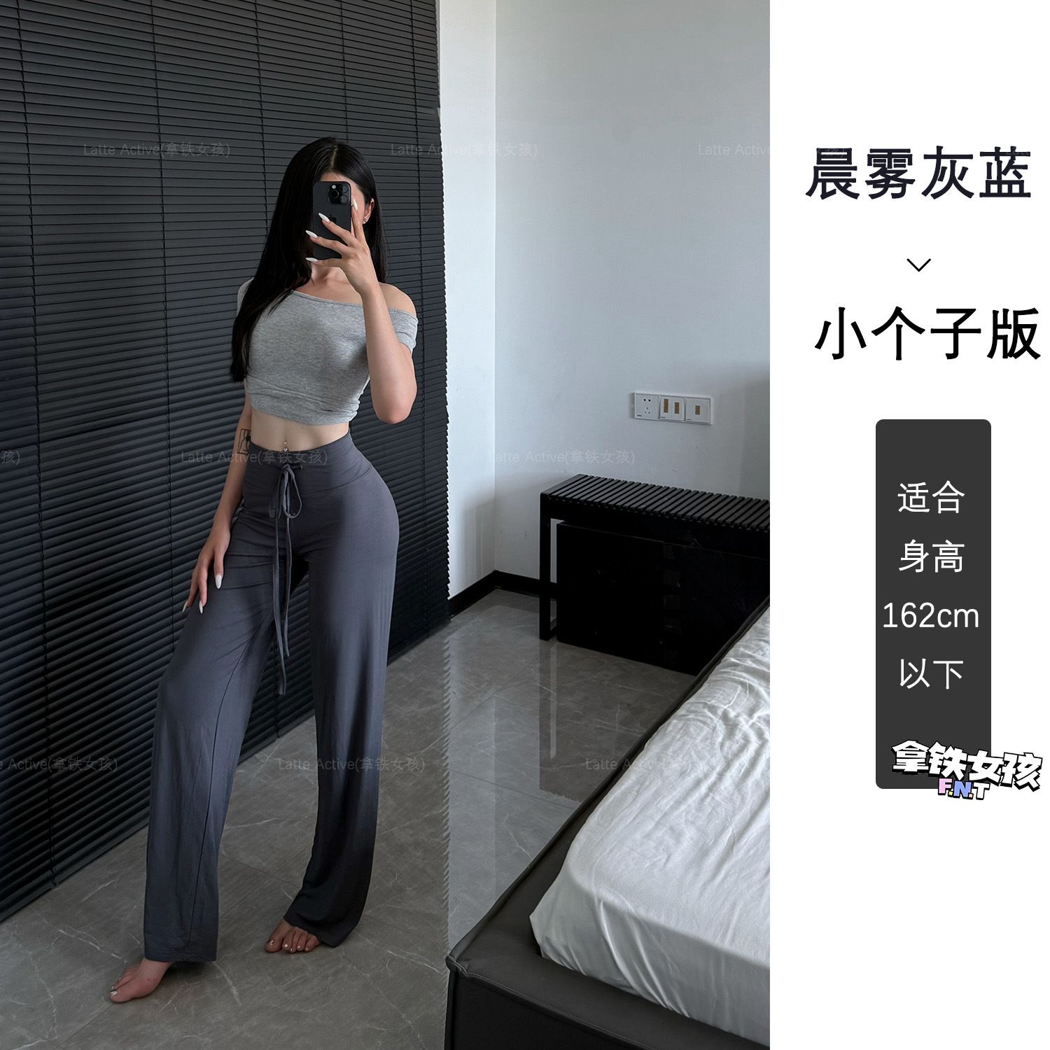 Morning mist gray blue (small version)