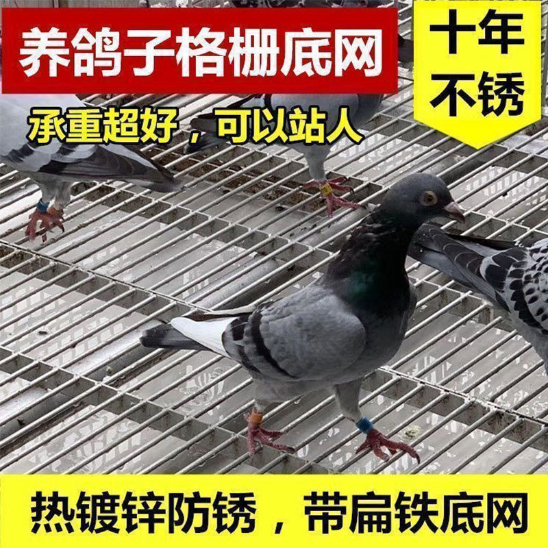 热镀锌鸽舍地网公棚围网漏粪底网铁篦子养殖格栅平台过道盖板