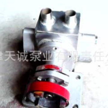 不锈钢9镍保温泵BW/耐腐蚀泵/食品泵/齿轮泵/锻造泵/高温泵