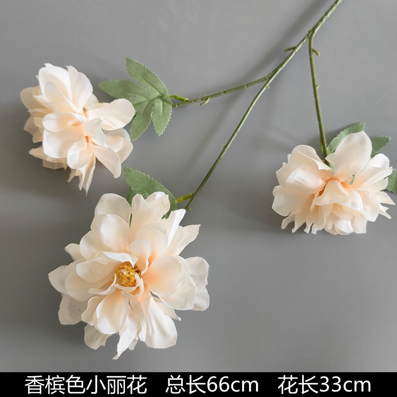 シャンパン色の結婚式の花の花の花の材料の結婚祝いの装飾の花の講堂の装飾の花のプラスチックの花の道は花の造花を導いています。|undefined