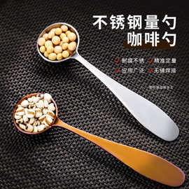 工厂不锈钢咖啡奶茶厨房用具定量勺调料工具材料可选 咖啡勺