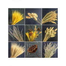 �S�չ������׃��@�������}�h����ɫ����ɻ��͏d������Ȼ�����b�