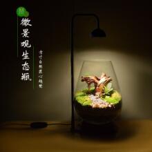 跨境led微景观日光灯USB插头仿太阳苔藓植物灯荫生植物生长灯