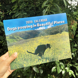 �羳2026��TEMU���� MEDIEVAL CATS��ֵ������o����Ӣ���՚v��v