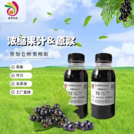 浓缩黑加仑汁黑加仑原浆商用茶饮黑加仑浓缩汁浓缩果汁原料批发