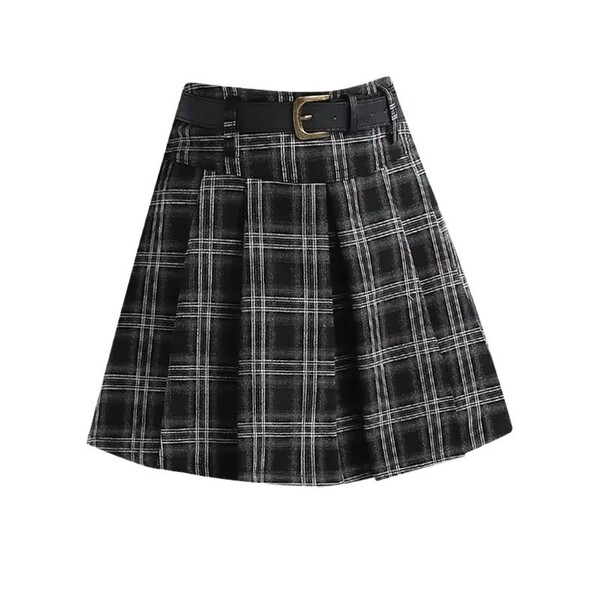 Demi-season elegant pleated skirt