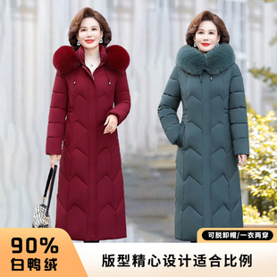 Ʒ����q��Ů���L��2025�����¿�Ӻ�ů�^ϥ�����ꋌ��ë�I����