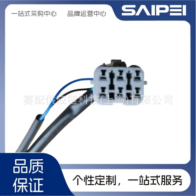 Central locking for Haval H5