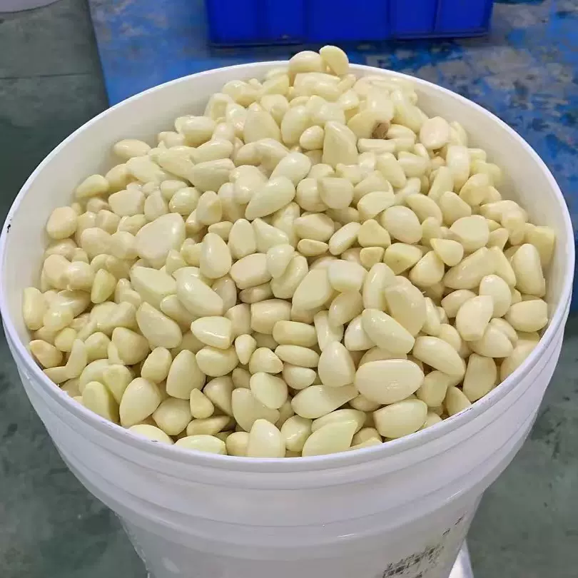 山东工厂直发去皮蒜米可开自产自销去皮新鲜蒜米通货保鲜蒜米