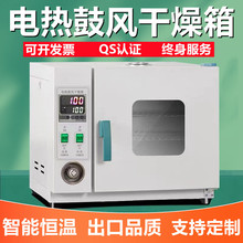 實驗室電熱鼓風干燥箱工業恆溫烘箱小型高溫烘干箱食品中葯材烤箱
