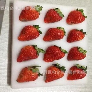 Strawberry Sponge Packaging / Turnover Strawberry Sponge Packaging / Bubble Wrap Strawberry Sponge Packaging / Buffer Strawberry Sponge