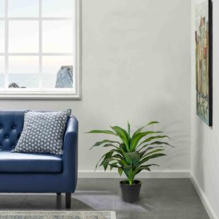 ����ֲ�����԰���ľ�G�F ���F�~����٘�Gֲ�辰 �҃ȼҾ��b�