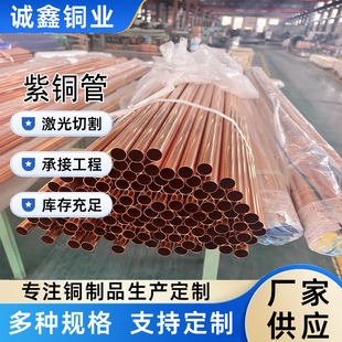 t2���{�����ڏ���tp2��Ó�o�����~�߼��ȼt�~�����ĈA�����~��