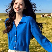 �¿ʽ��polo�I���R���{ɫë��ᘿ��_����������Ů