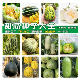 С���b��ϷN�Ӵ�ȫ �������Ƥ����ϷN��ţ���ۻ�Ƥ��ˮ���N��