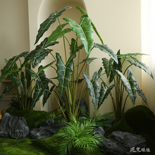 ����Gֲ�_���������辰�҃ȴ���ܛ�b�b����Ծ��^������O�[��