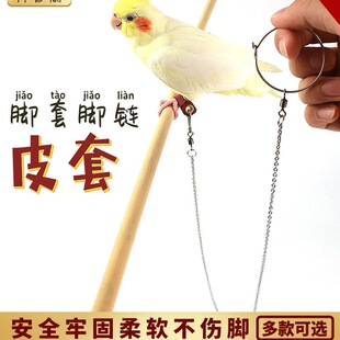 ���PС̫ꖺ��а˸������W�^�_�˩�B��ӷ�Ó����BƤ���_�h