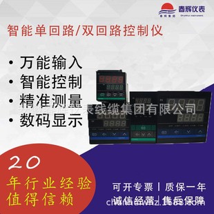 XMZ5060PD-1021 Intelligent Digital Display Controller