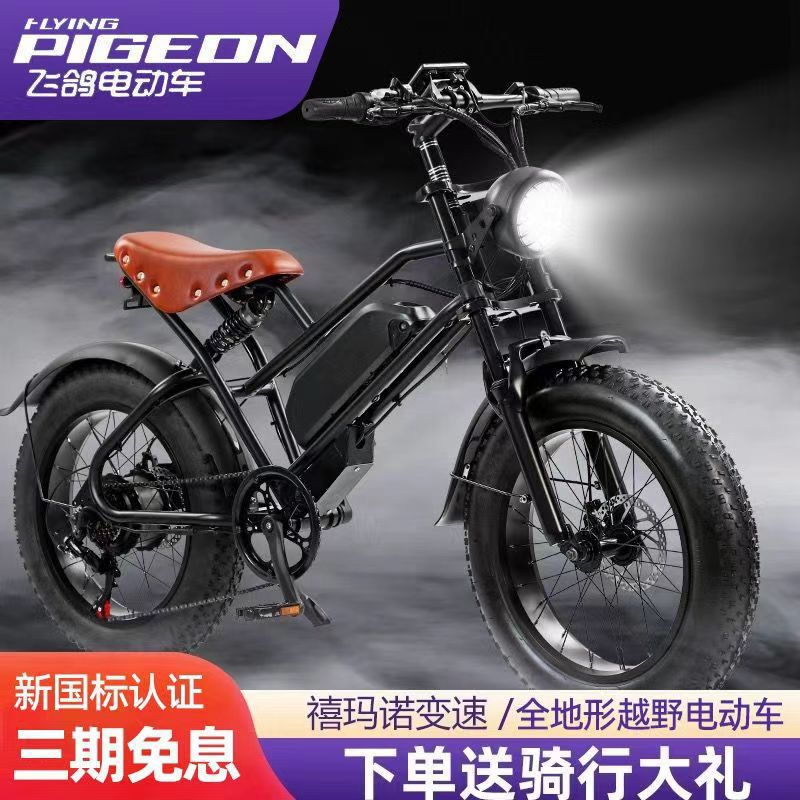 出口工厂助力电动车自行车成人山地越野锂电宽胎雪地车进口电芯