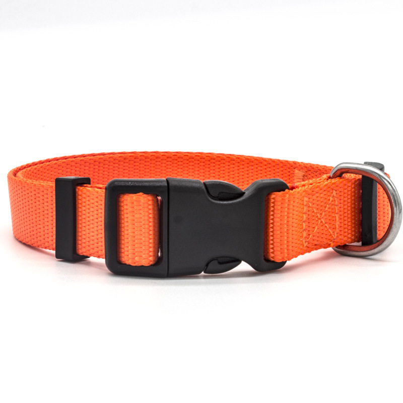 Fábrica directa collar de mascotas de nylon gato perro antideslizante desgaste antideslizante corda de tracción de perro al por mayor venta en caliente transfronteriza