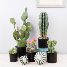 ������������������ԾGֲ����ֲ��ɳĮ�����򙻴��b��辰�ɰ���