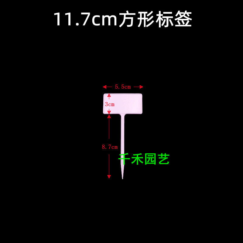 Purple 11.7cm square label