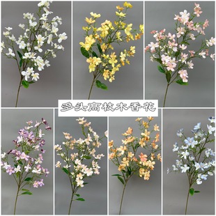 �¿�����Nޱ�� ���^��֦ľ�� ��ɫ������ �黨��c�bٻ����l