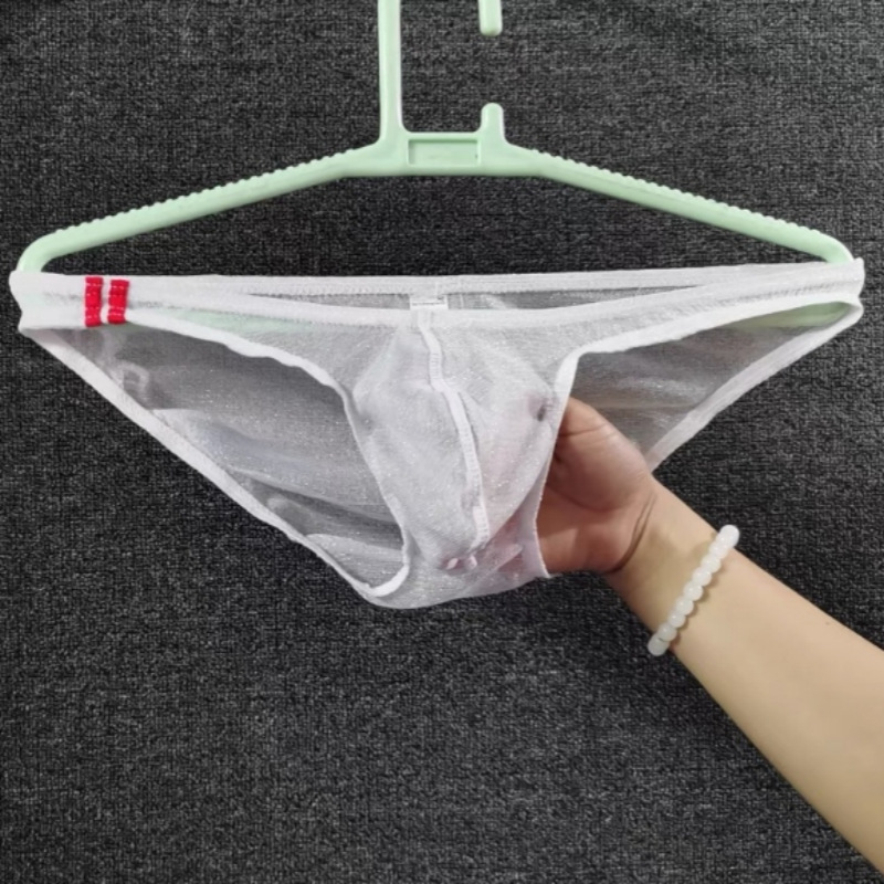 2025 New Men's Couple Underwear Classic See-Through Quick-Drying Briefs Low Waist Youth Pants Dropshipping