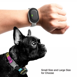 2024 new color screen dog trainer puppy mini dog for one drag two