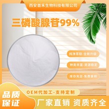 ����������99%���������ն��cATP����-5&prime;-��������c�}987-65-5