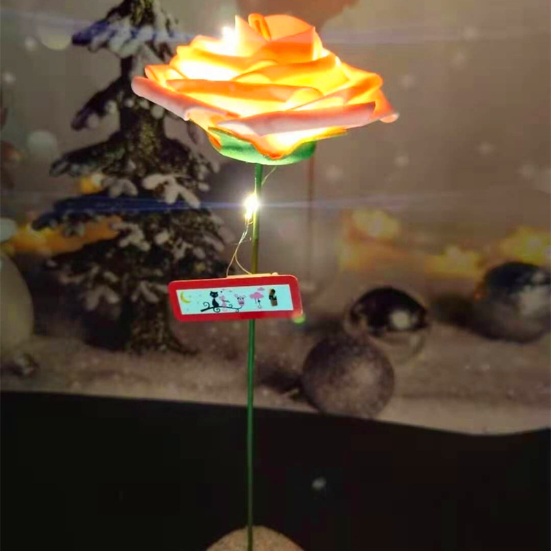 香槟色玫瑰+暖灯