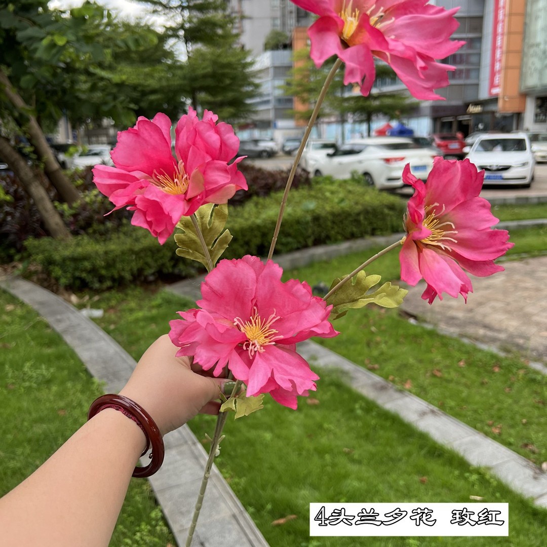 4 flores azules Rosa Roja