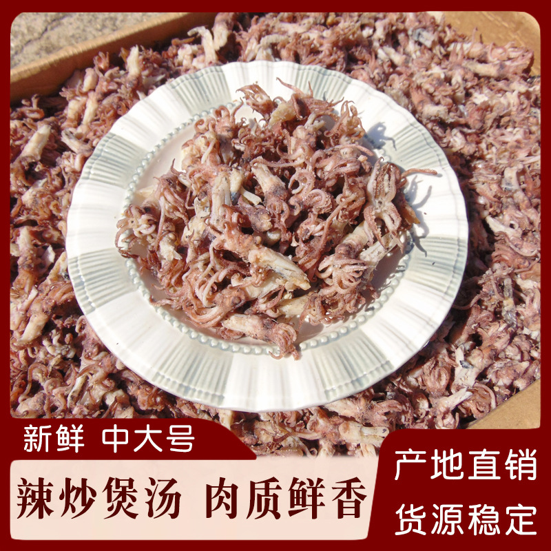 渔民新晒海兔头批发墨斗鱼头海鲜干货海产品笔管鱼头乌贼头净重